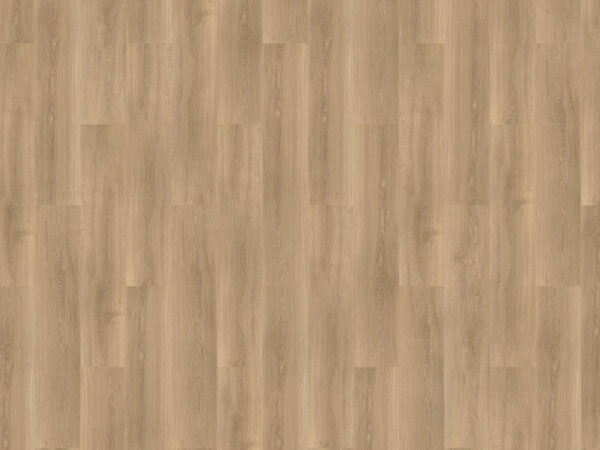 MFLOR River Oak Tarn 63029