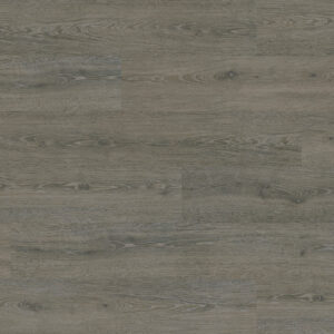 Wicanders Wood Hydrocork Cinder Oak B5R7002