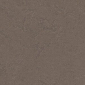 Forbo marmoleum click delta lace 333568-633568