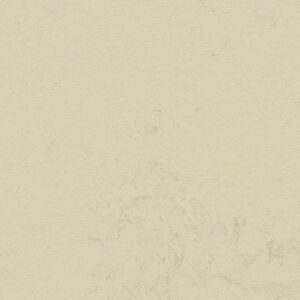 Forbo marmoleum click moon 333701-633701
