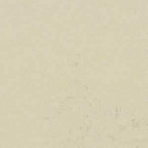 Forbo marmoleum click moon 333701-633701