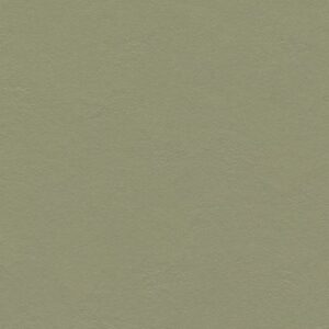 Forbo marmoleum click rosemary green 333355