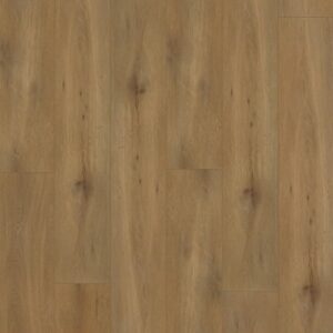 Gelasta Callisto 4100 dryback Natural Oak Dark