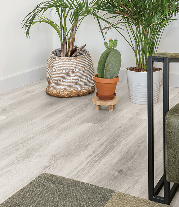 Bodiax BP390 Varuna