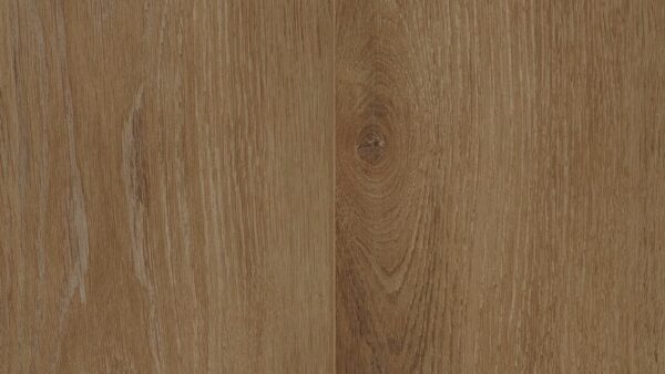 Baltimore Oak 66