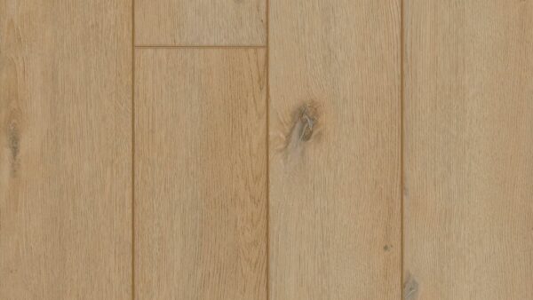 Champlain wood