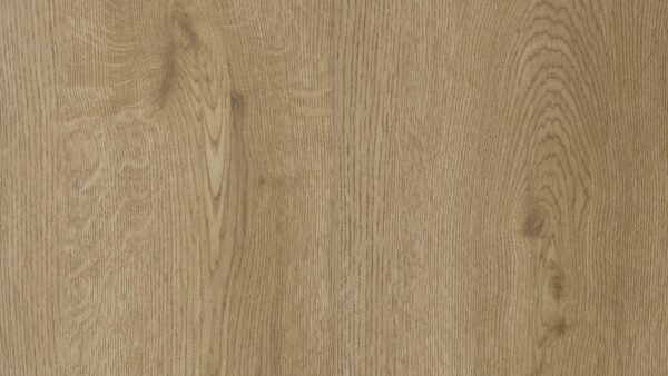 Munster Oak 53