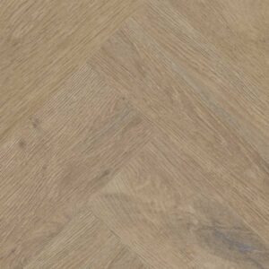 Texas Oak H54