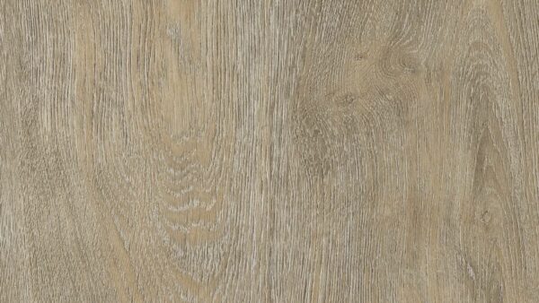 Waterton Lakes Oak 04