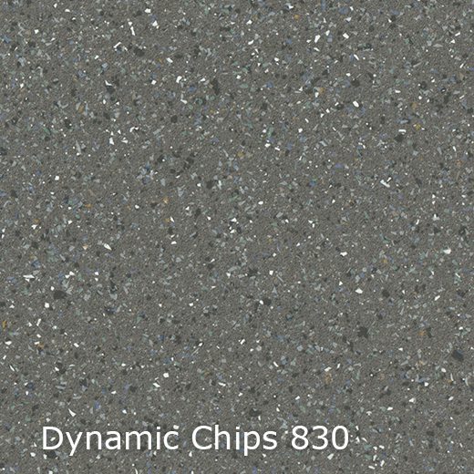 Interfloor Dynamic Chips 830