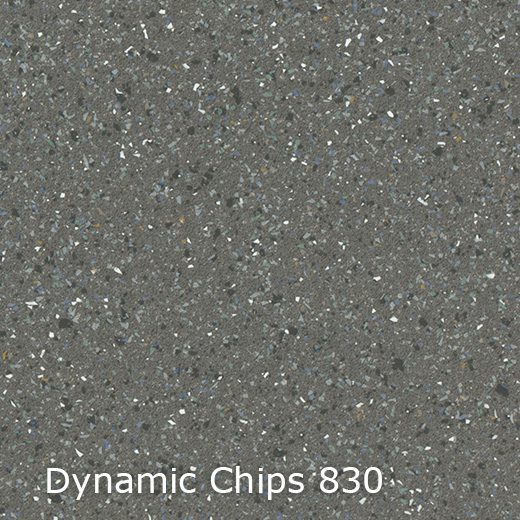 Interfloor Dynamic Chips 830