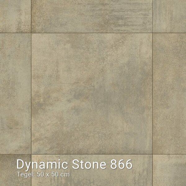 Interfloor Dynamic Stone 866