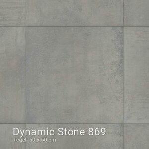 Interfloor Dynamic Stone 869