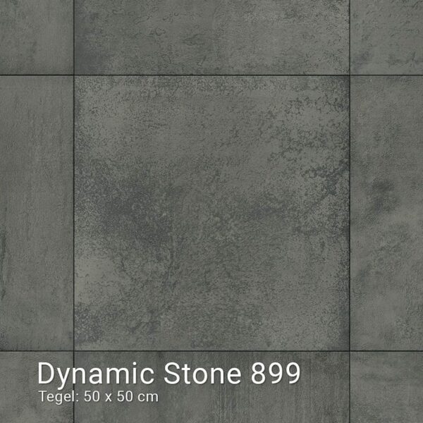 Interfloor Dynamic Stone 899