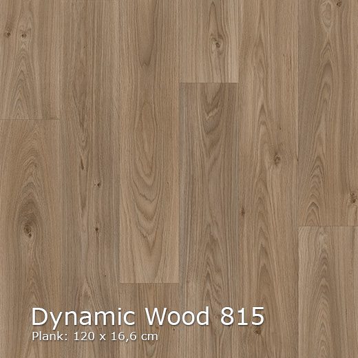 Interfloor Dynamic Wood 815