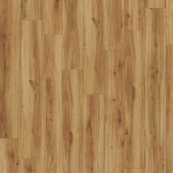 Moduleo Roots 40 Country Oak 24842