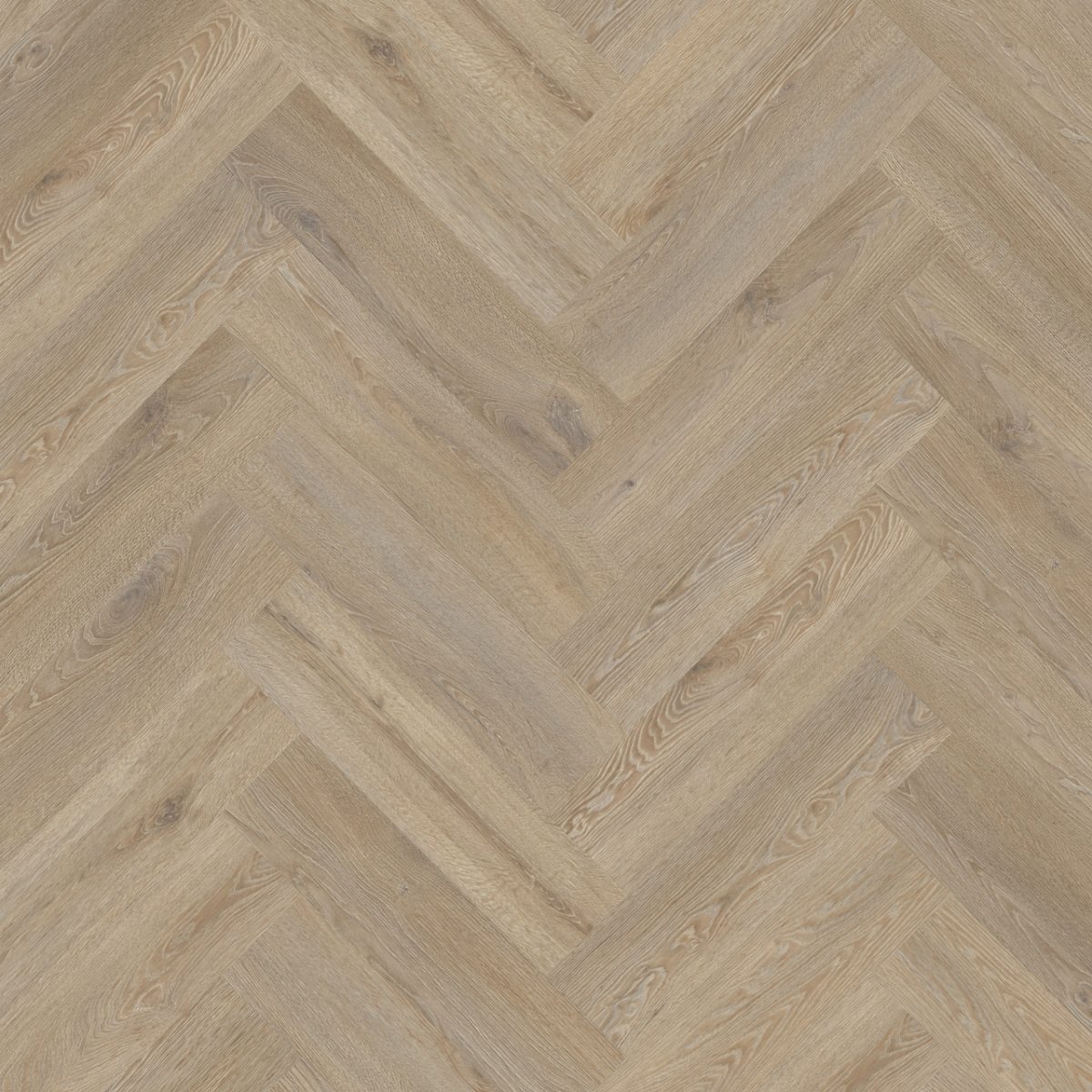 Moduleo Roots Herringbone Galtymore Oak 86851Y