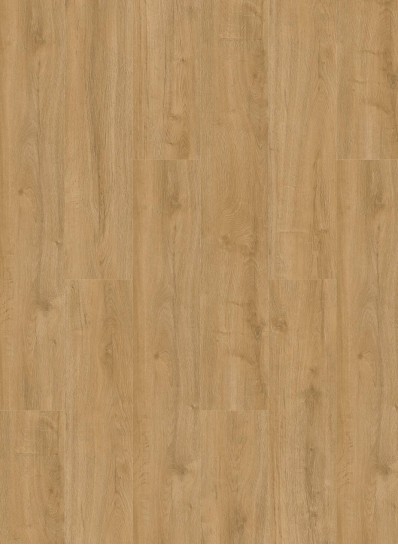 Gelasta Oakland 6101 (dryback) Naturel