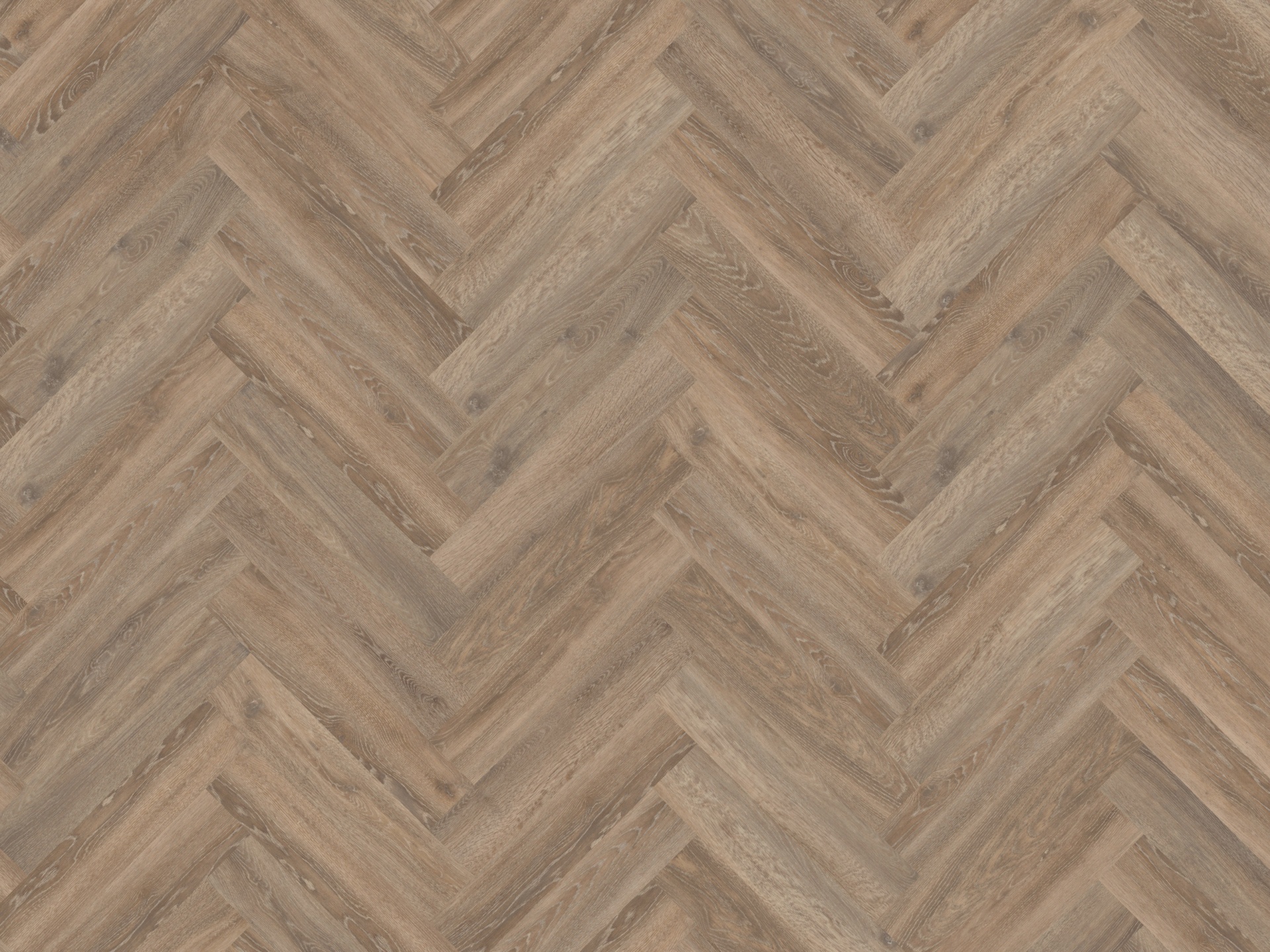 MFlor Authentic Parva Oak XL Calabria