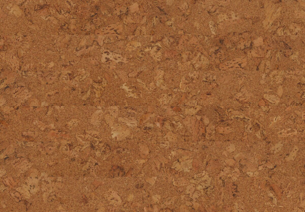 Amorim Cork Inspire Originals Shell 80003485
