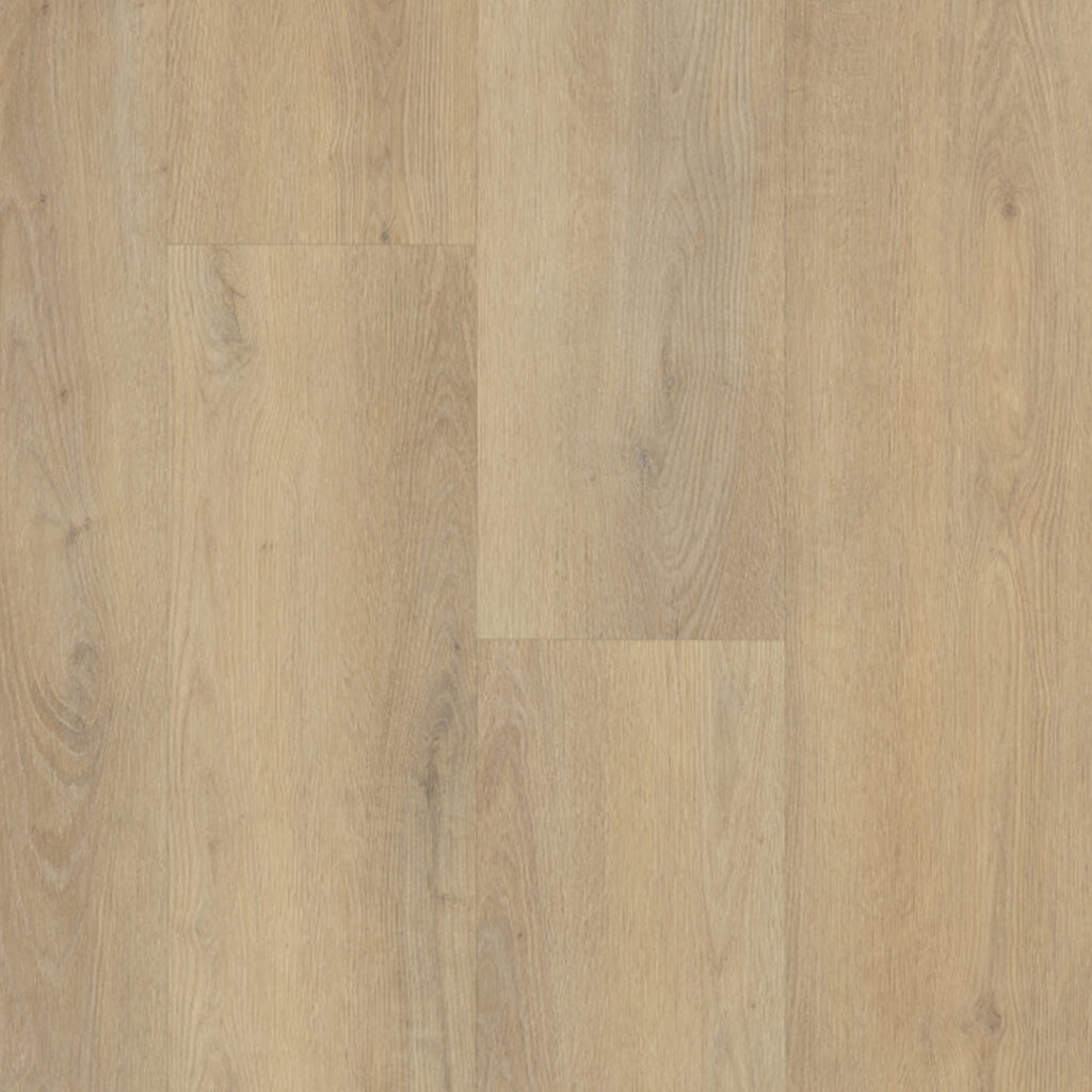 Belakos Palazzo 720 Rigid Click