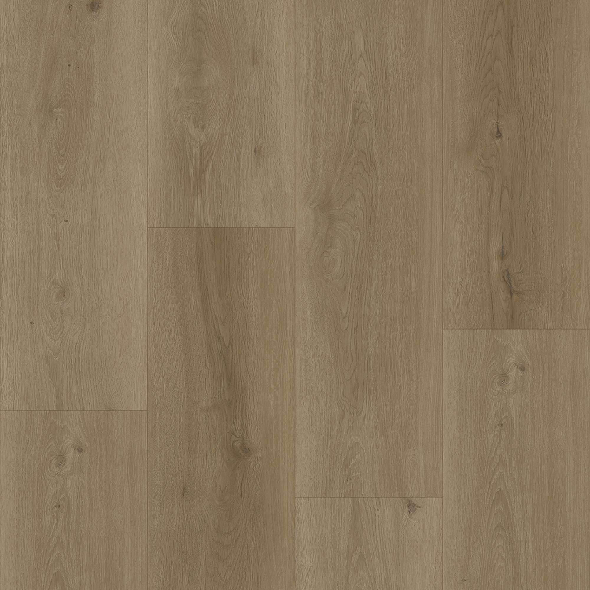 Bodiax BP300 Longa dry-back PVC 333 Selenite