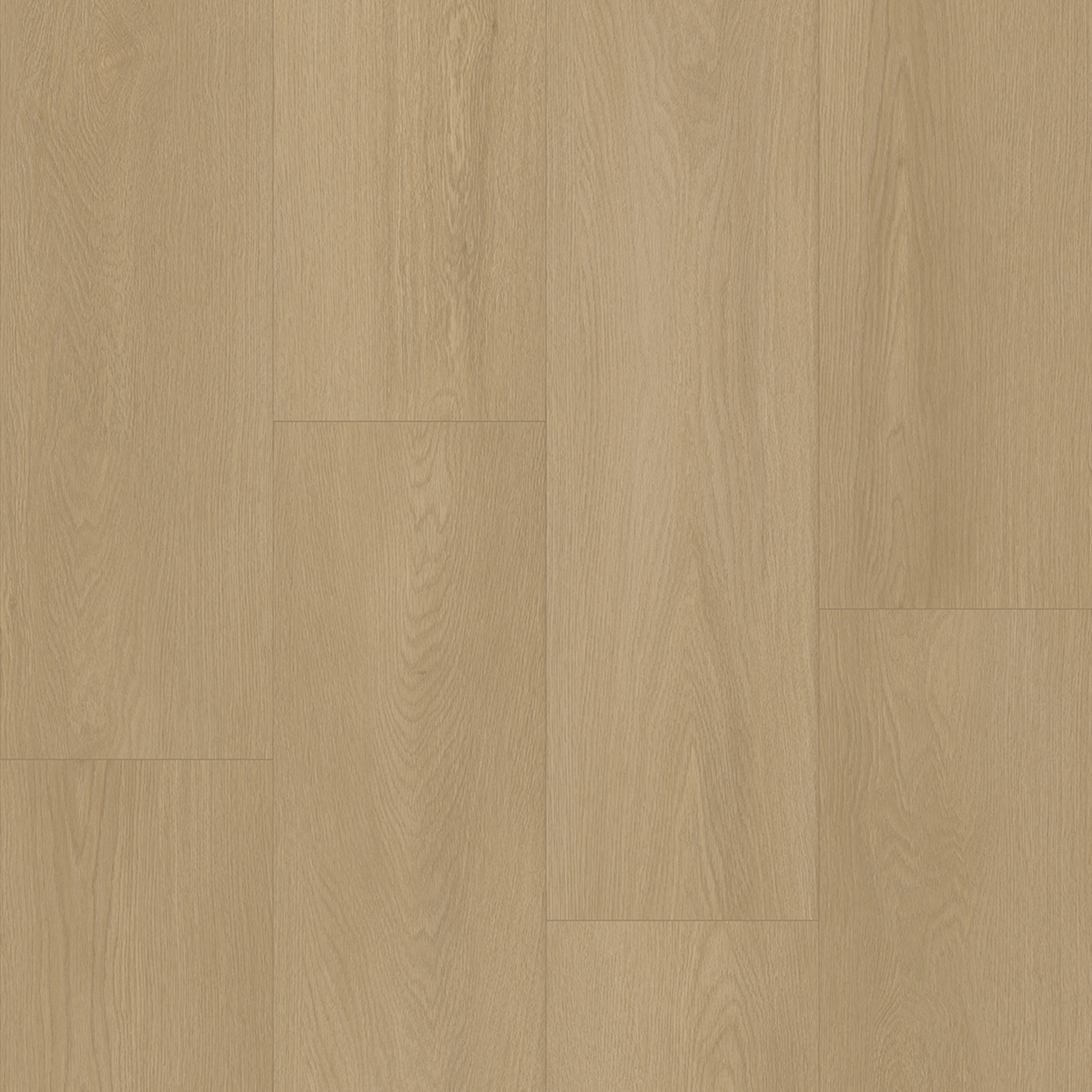 Bodiax BP300 Longa dry-back PVC 334 Marlin