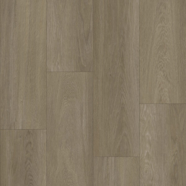 Bodiax BP370 Estrela dry-back PVC 123 Ash