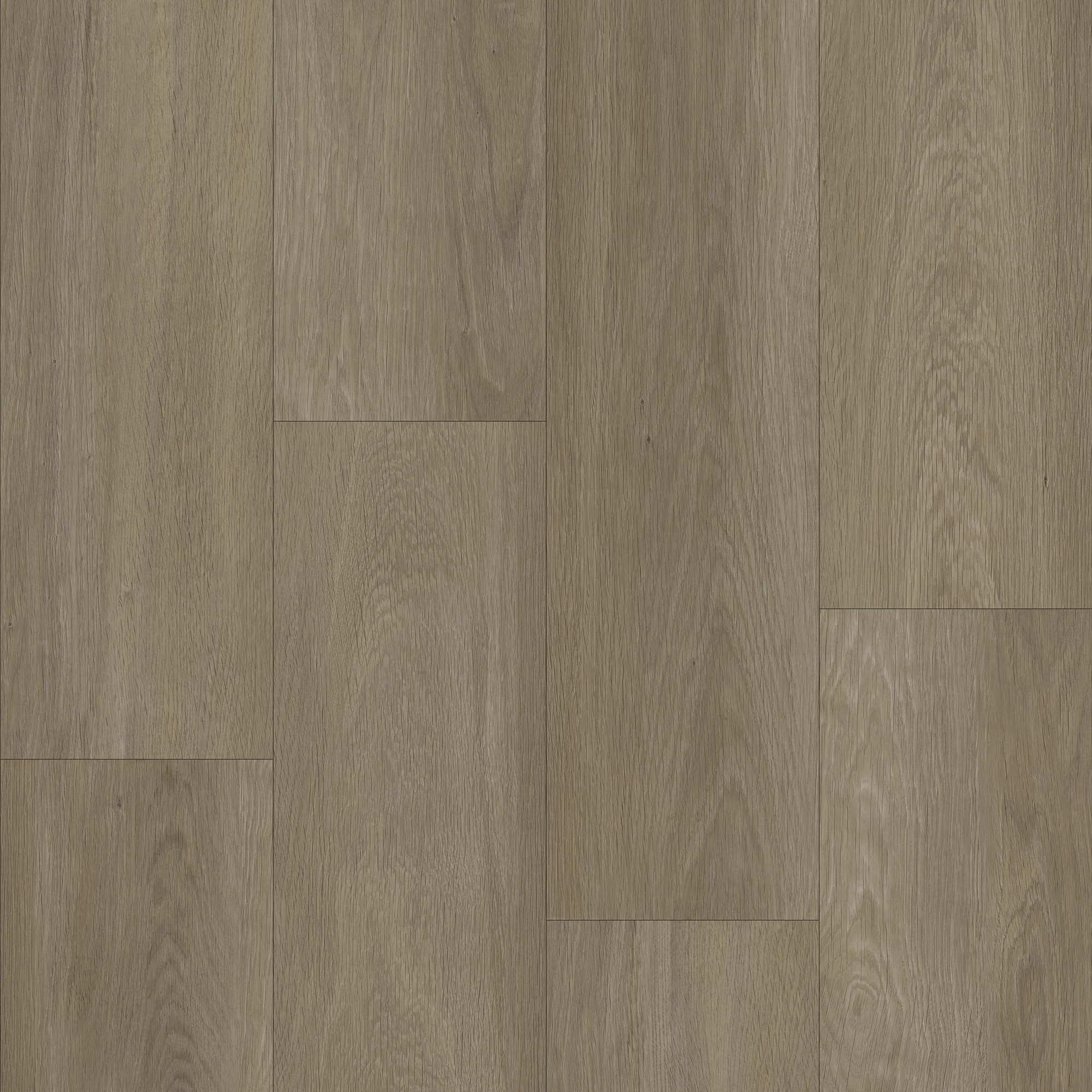 Bodiax BP370 Estrela dry-back PVC 123 Ash