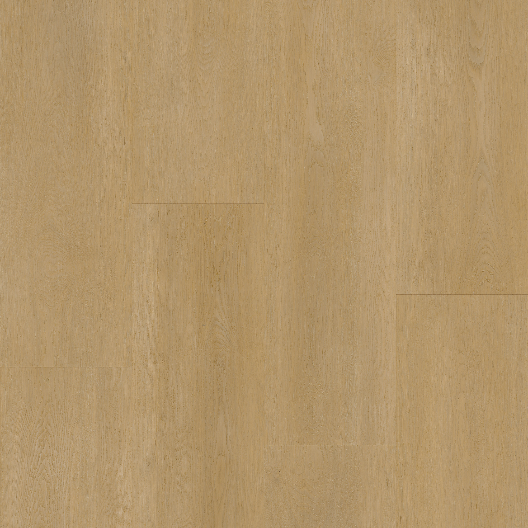 Bodiax BP590 Royal Hydro-core clic PVC 593 Regency