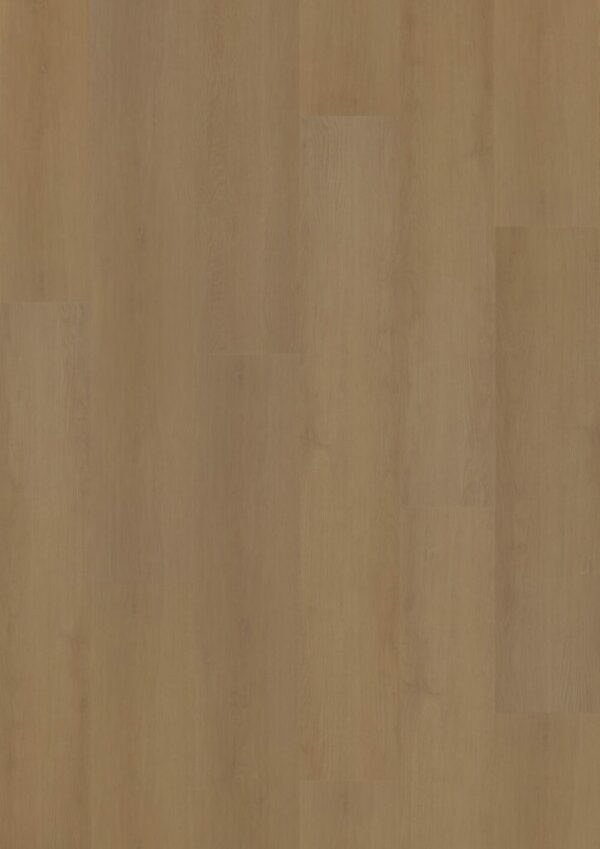 Hoomline Prestige Dryback plank Nice 5053