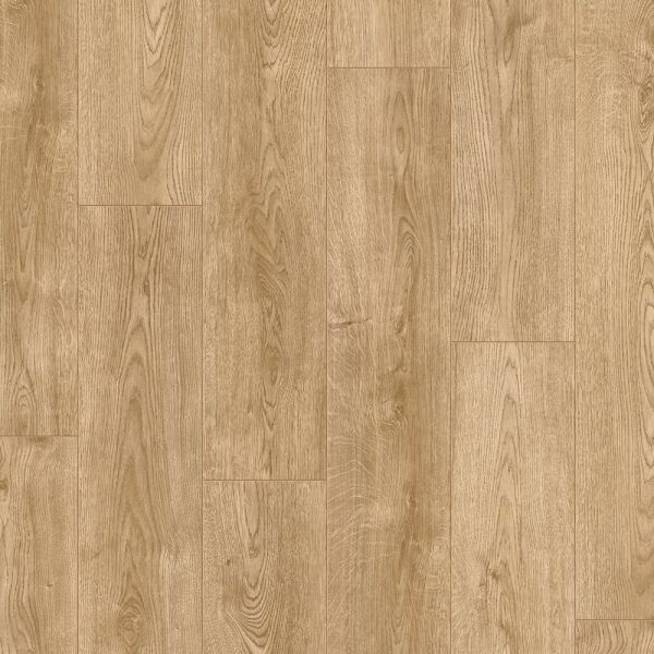 Beautifloor Anvers Wijnegem