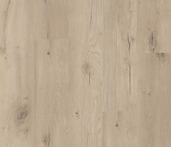 COREtec Forest 50 LVP 806 Dryback