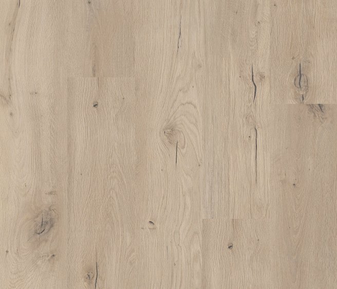 COREtec Forest 50 LVP 806 Dryback