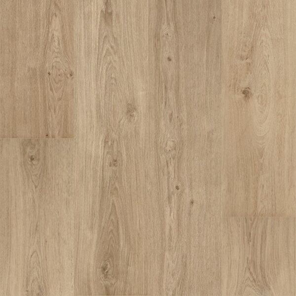 Floorify Champagne FG017