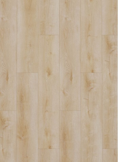 Gelasta Dynamic 2500 (dryback) Natural light