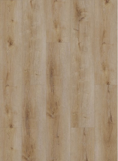Gelasta Dynamic 3501 (rigid click) Natural smoked