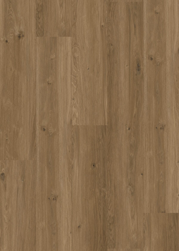 Coretec XL-END Saumur 50 LVREXL 4384