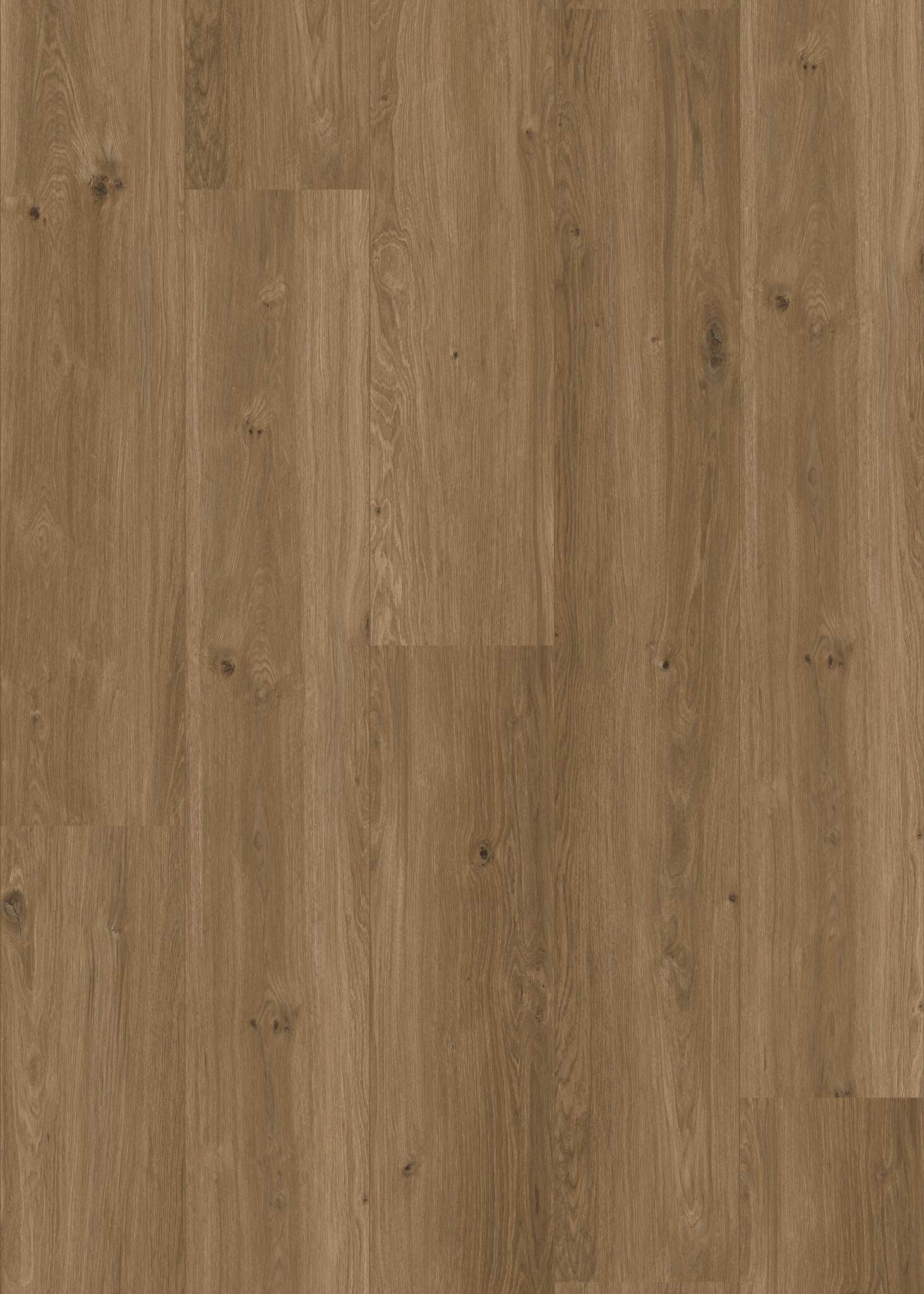 Coretec XL-END Saumur 50 LVREXL 4384