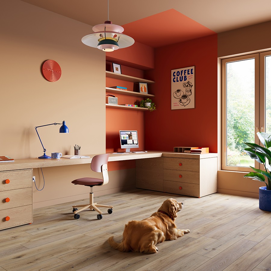 Lamett Arno categorie